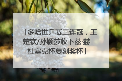 多哈世乒赛三连冠，王楚钦/孙颖莎收下兹·赫杜塞克杯复刻奖杯