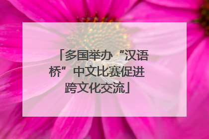 多国举办“汉语桥”中文比赛促进跨文化交流
