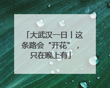 大武汉一日丨这条路会“开花”，只在晚上有