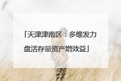 天津津南区：多维发力盘活存量资产增效益