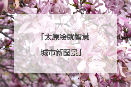 太原绘就智慧城市新图景