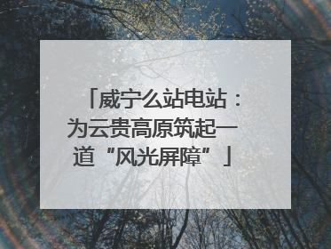 威宁么站电站：为云贵高原筑起一道“风光屏障”