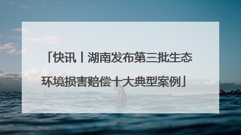 快讯丨湖南发布第三批生态环境损害赔偿十大典型案例