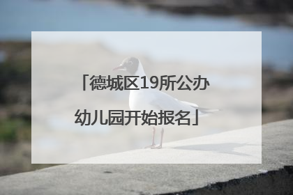 德城区19所公办幼儿园开始报名