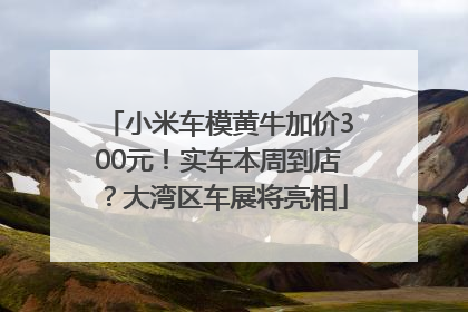 小米车模黄牛加价300元！实车本周到店？大湾区车展将亮相