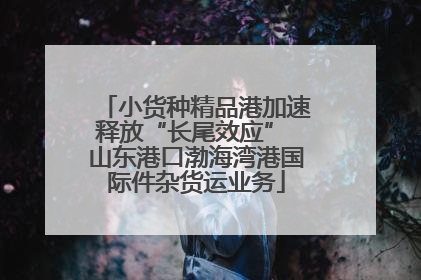 小货种精品港加速释放“长尾效应” 山东港口渤海湾港国际件杂货运业务