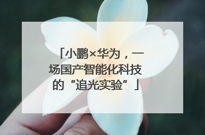 小鹏×华为，一场国产智能化科技的“追光实验”