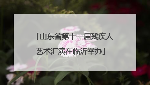 山东省第十一届残疾人艺术汇演在临沂举办
