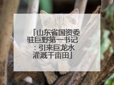 山东省国资委驻巨野第一书记：引来巨龙水 灌溉千亩田