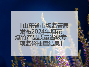 山东省市场监管局发布2024年烟花爆竹产品质量省级专项监督抽查结果