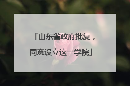 山东省政府批复，同意设立这一学院