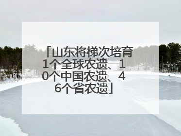 山东将梯次培育1个全球农遗、10个中国农遗、46个省农遗