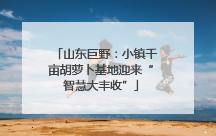 山东巨野：小镇千亩胡萝卜基地迎来“智慧大丰收”