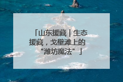 山东援藏｜生态援藏，戈壁滩上的“潍坊魔法”