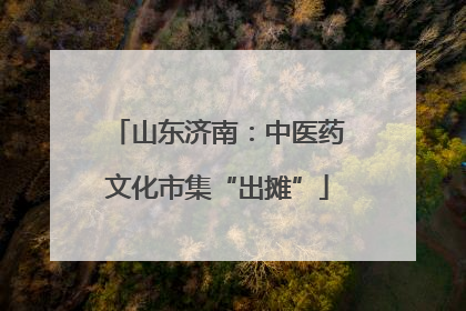 山东济南：中医药文化市集“出摊”