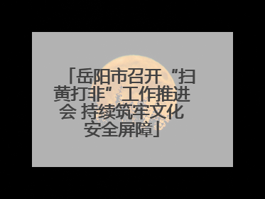 岳阳市召开“扫黄打非”工作推进会 持续筑牢文化安全屏障
