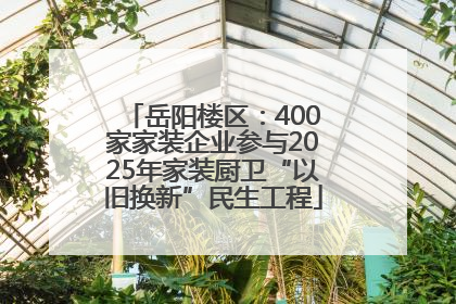 岳阳楼区：400家家装企业参与2025年家装厨卫“以旧换新”民生工程