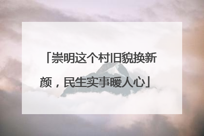 崇明这个村旧貌换新颜，民生实事暖人心