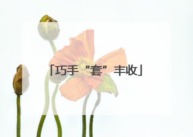 巧手“套”丰收