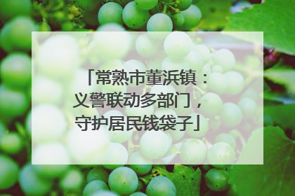 常熟市董浜镇：义警联动多部门，守护居民钱袋子