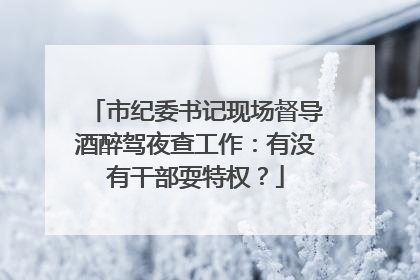 市纪委书记现场督导酒醉驾夜查工作：有没有干部耍特权？