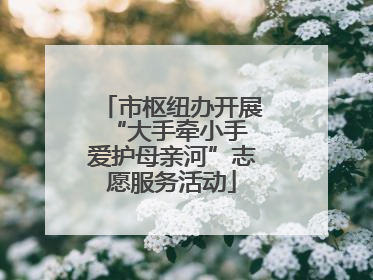 市枢纽办开展“大手牵小手 爱护母亲河”志愿服务活动