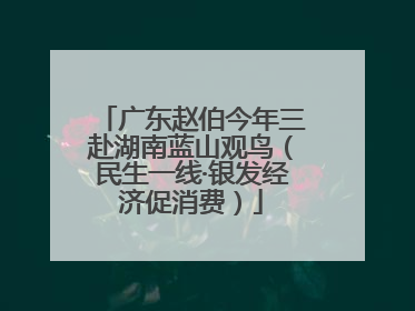 广东赵伯今年三赴湖南蓝山观鸟（民生一线·银发经济促消费）