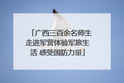广西三百余名师生走进军营体验军旅生活 感受国防力量