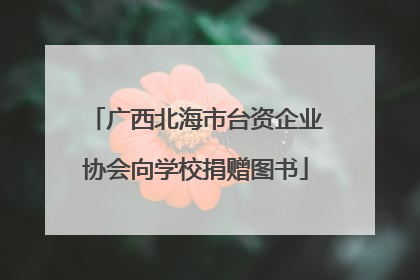 广西北海市台资企业协会向学校捐赠图书