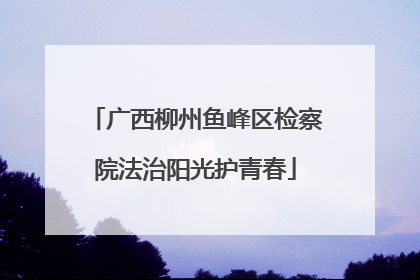 广西柳州鱼峰区检察院法治阳光护青春