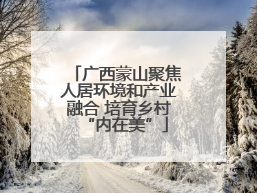 广西蒙山聚焦人居环境和产业融合 培育乡村“内在美”