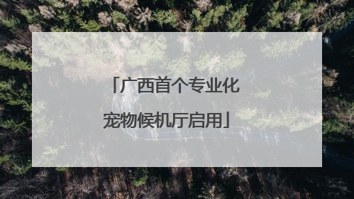 广西首个专业化宠物候机厅启用