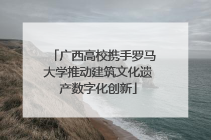 广西高校携手罗马大学推动建筑文化遗产数字化创新