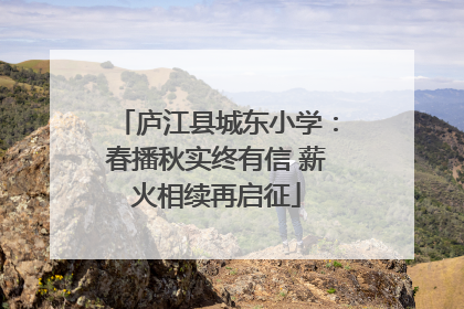 庐江县城东小学：春播秋实终有信 薪火相续再启征