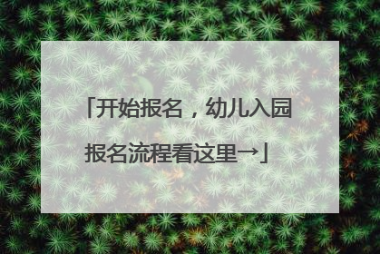 开始报名，幼儿入园报名流程看这里→
