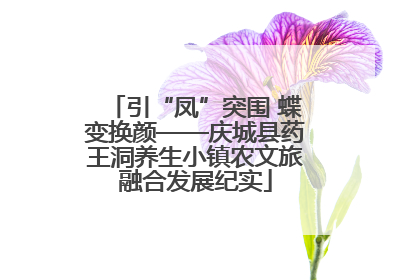 引“凤”突围 蝶变换颜——庆城县药王洞养生小镇农文旅融合发展纪实