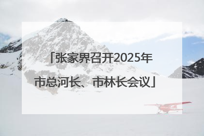 张家界召开2025年市总河长、市林长会议
