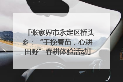 张家界市永定区桥头乡：“手挽春苗，心耕田野”春耕体验活动