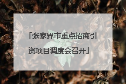 张家界市重点招商引资项目调度会召开