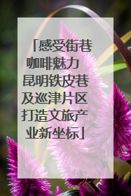 感受街巷咖啡魅力 昆明铁皮巷及巡津片区打造文旅产业新坐标