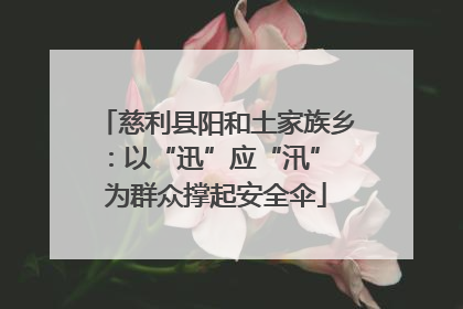 慈利县阳和土家族乡:以“迅”应“汛” 为群众撑起安全伞