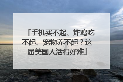 手机买不起、炸鸡吃不起、宠物养不起？这届美国人活得好难