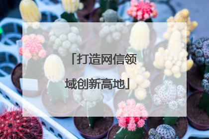 打造网信领域创新高地