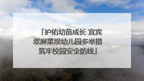 护佑幼苗成长 宜宾翠屏菜坝幼儿园多举措筑牢校园安全防线