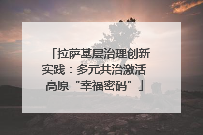 拉萨基层治理创新实践：多元共治激活高原“幸福密码”