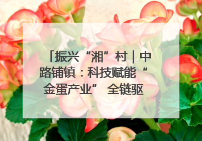 振兴“湘”村｜中路铺镇：科技赋能“金蛋产业” 全链驱动乡村振兴