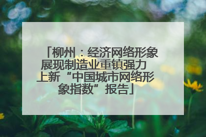 柳州：经济网络形象展现制造业重镇强力 上新“中国城市网络形象指数”报告