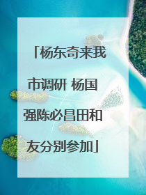 杨东奇来我市调研 杨国强陈必昌田和友分别参加