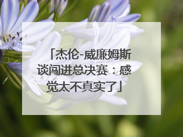 杰伦-威廉姆斯谈闯进总决赛：感觉太不真实了