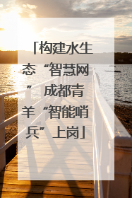 构建水生态“智慧网” 成都青羊“智能哨兵”上岗